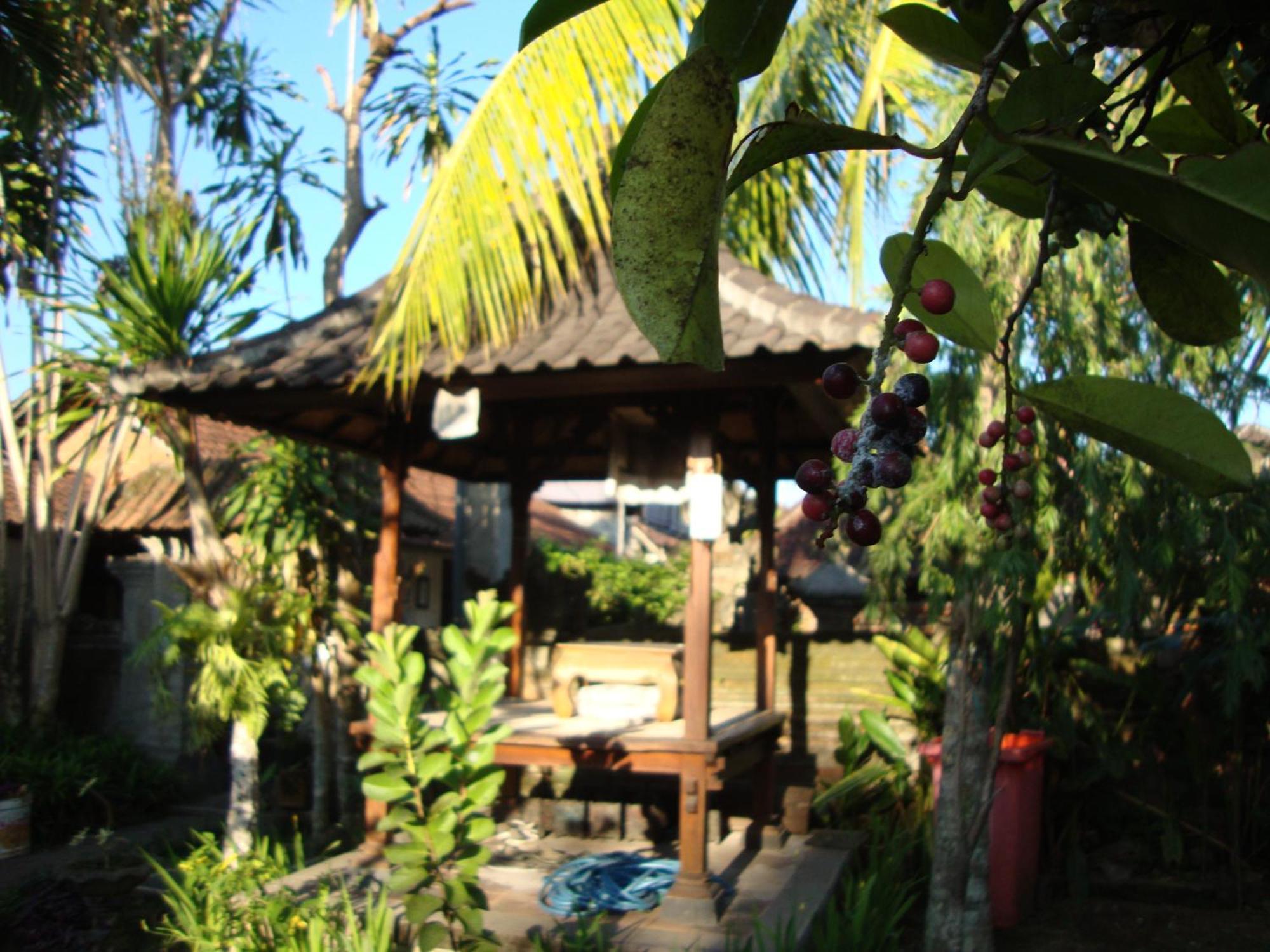Gusti Home Stay Ubud 部屋 写真